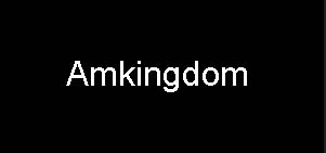 Amkingdom_logo