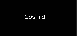 Cosmid_logo
