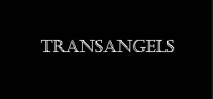 Transangels_login